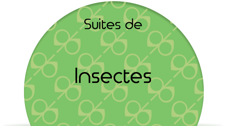 Suites de Insectes