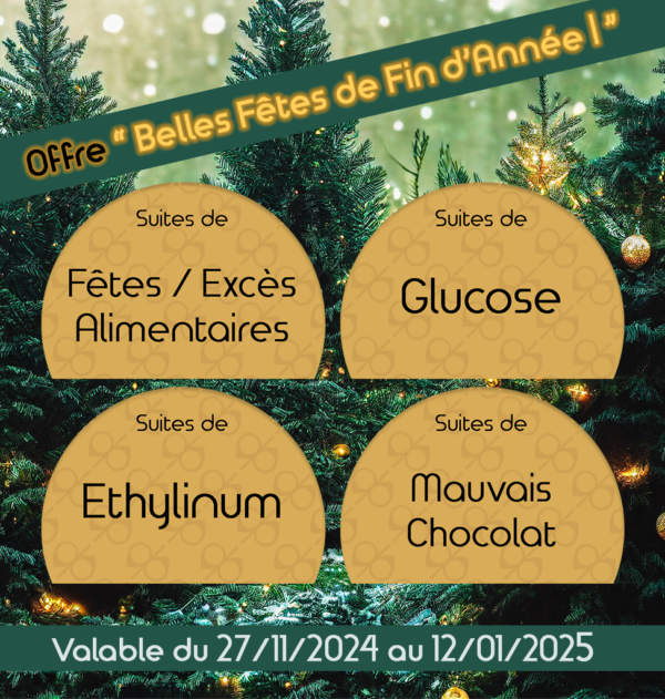Offre "Belles Fêtes de fin d'année! "