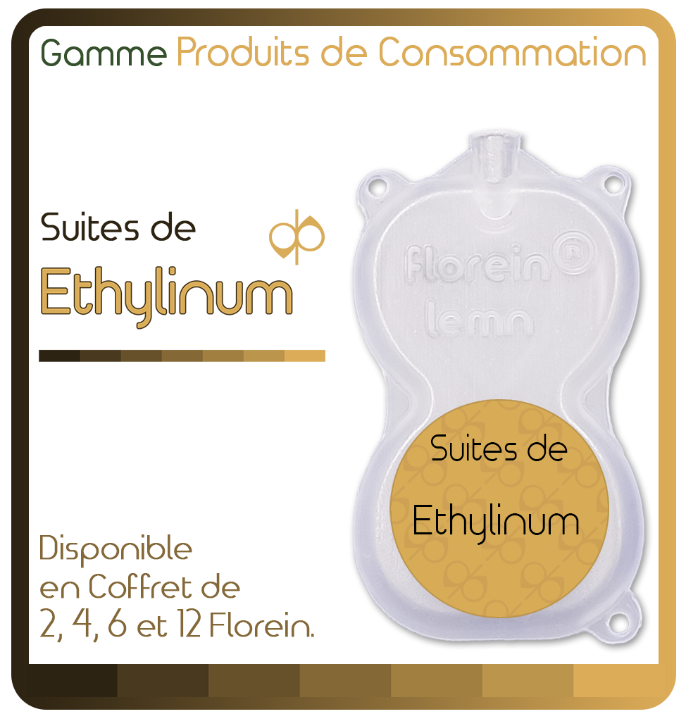 B6-Ethylinum_ProduitsdeConsommation_2026