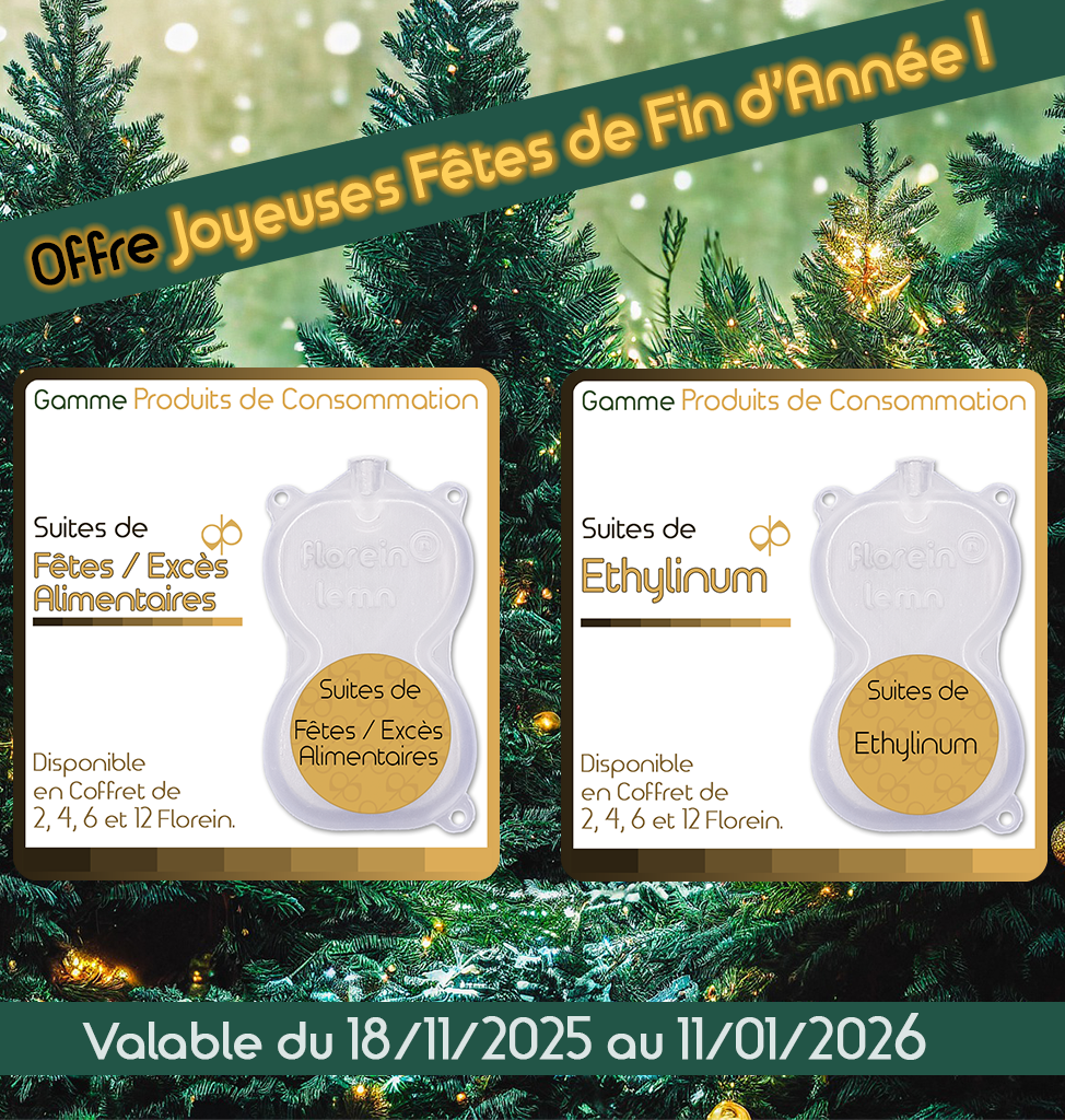 Offre Joyeuses Fêtes de fin d'année !